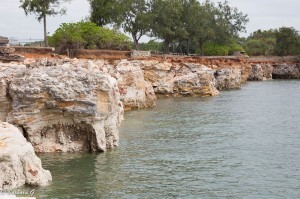IMG_3635