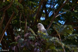 IMG_3638