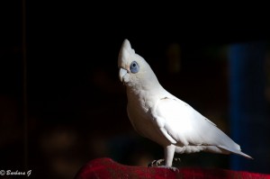 IMG_3666