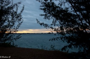 IMG_3704