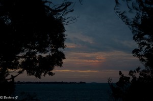 IMG_3719