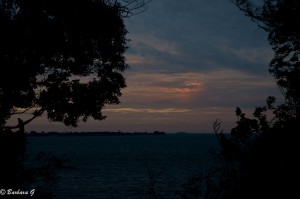IMG_3722