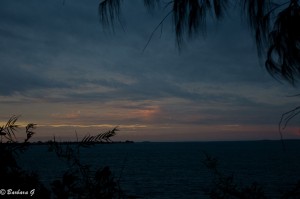 IMG_3725