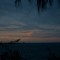 IMG_3725