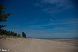 IMG_3731