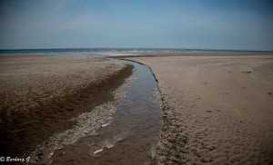 IMG_3744