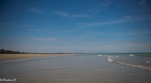 IMG_3757