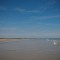 IMG_3757
