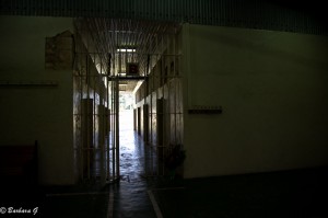 IMG_3770