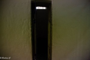 IMG_3772