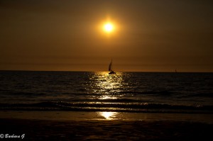 IMG_3787