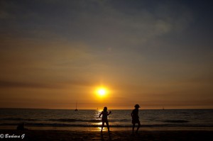 IMG_3795