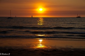 IMG_3812