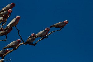 IMG_3812