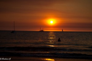 IMG_3820
