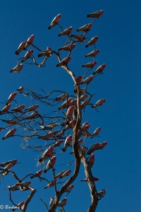 IMG_3826