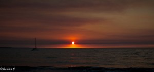 IMG_3837