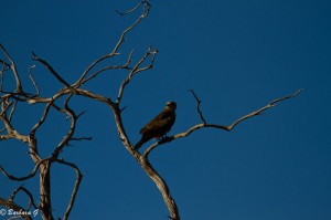 IMG_3848