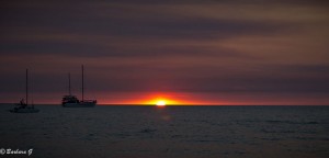 IMG_3860