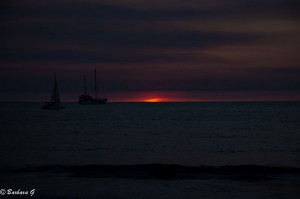 IMG_3866