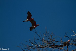 IMG_3885