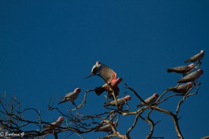 IMG_3890