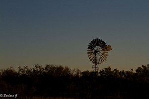 IMG_3912
