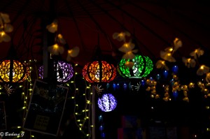 IMG_3925