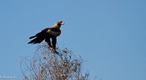 IMG_3990