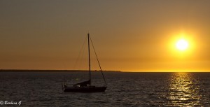IMG_4020