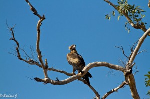 IMG_4021