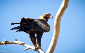 IMG_4039