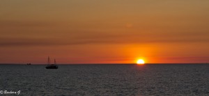 IMG_4054