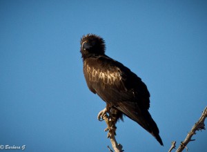 IMG_4088