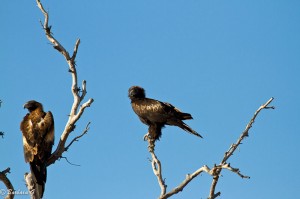 IMG_4094