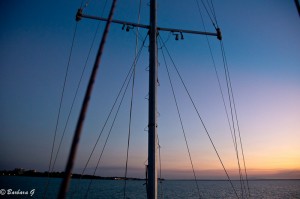 IMG_4117