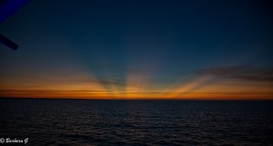 IMG_4142