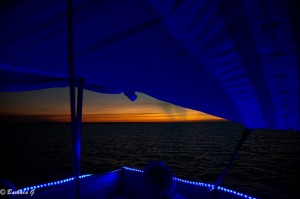 IMG_4149