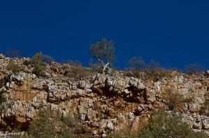 IMG_4184