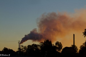 IMG_4278