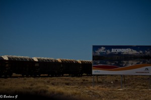 IMG_4350