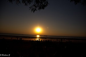 IMG_4370