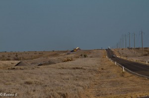 IMG_4433