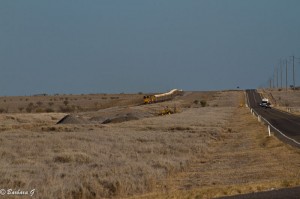 IMG_4436