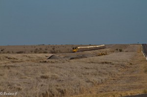 IMG_4437