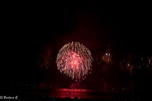 IMG_4441
