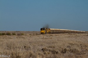 IMG_4443