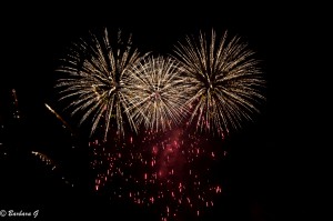 IMG_4444