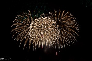 IMG_4445