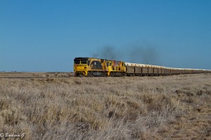IMG_4451